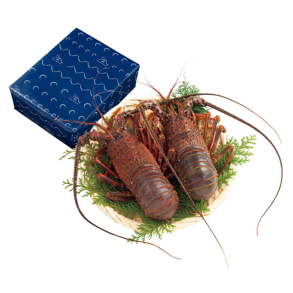 伊勢志摩産 活伊勢海老(2尾)