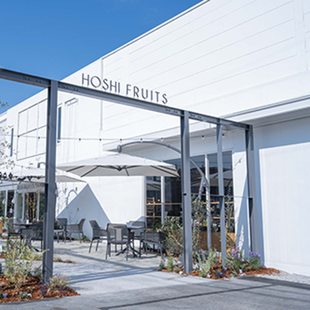 ホシフルーツ 贅沢フルーツのタルト