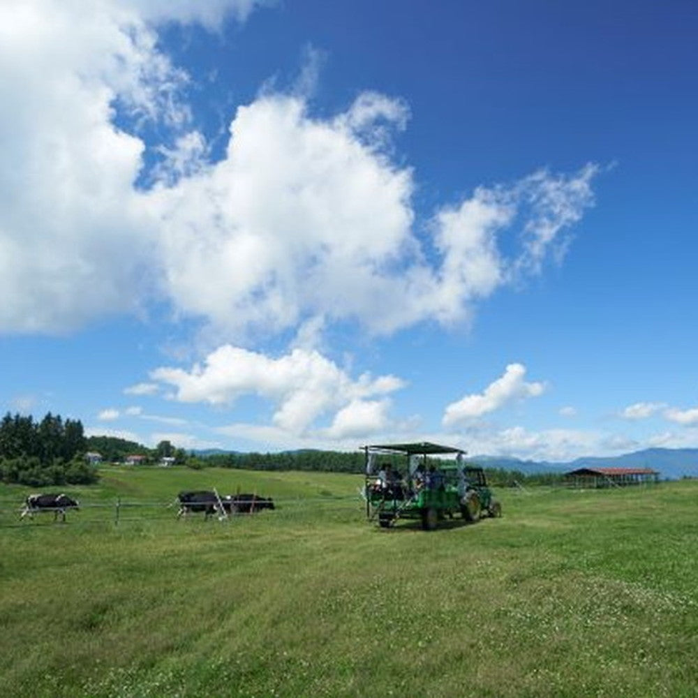 長門牧場「カルピス(株)バター」アイスクリーム ミルク&バター7個