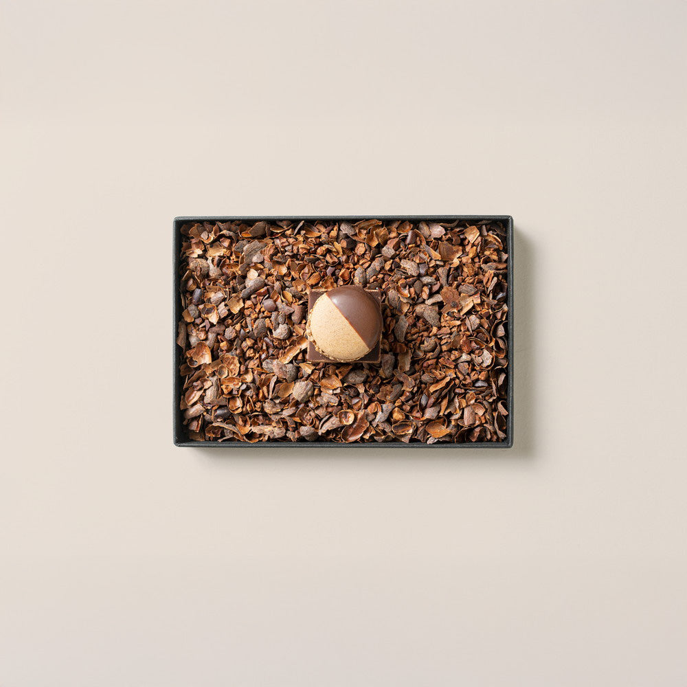 MAMEIL NAMA CHOCOLATE MACARON(生チョコレートマカロン)‑Chocolate‑6個