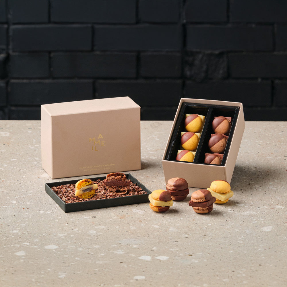 MAMEIL NAMA CHOCOLATE MACARON(生チョコレートマカロン)‑Choco&Creme brulee‑計6個