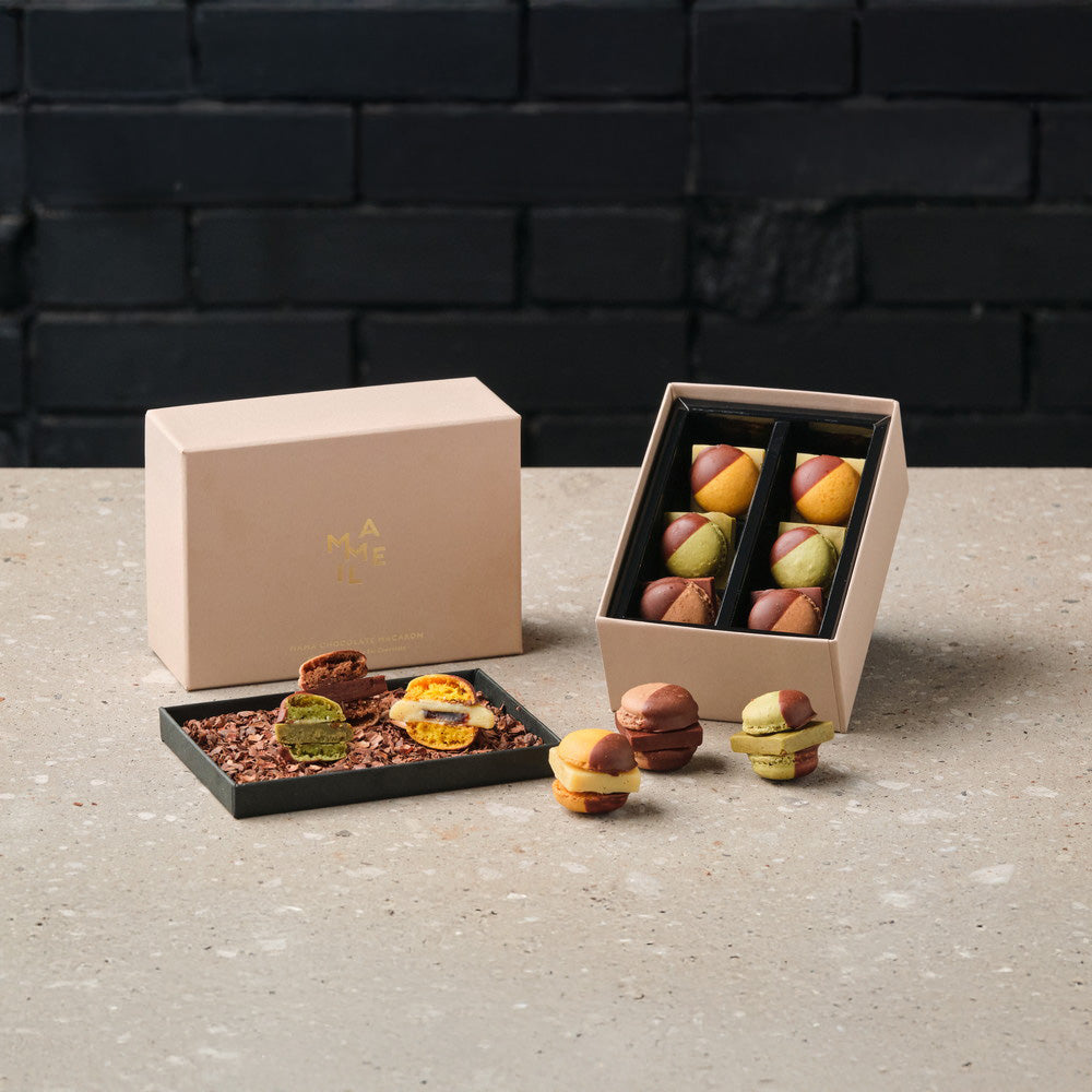 MAMEIL NAMA CHOCOLATE MACARON(生チョコレートマカロン)‑Choco&Pistachio&Creme brulee‑ 計6個