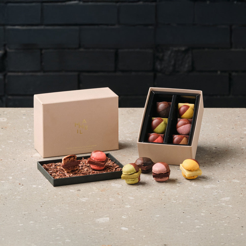 MAMEIL NAMA CHOCOLATE MACARON(生チョコレートマカロン)6種詰め合わせ計6個