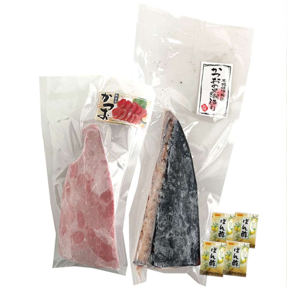 静岡 一本釣り鰹尽くし