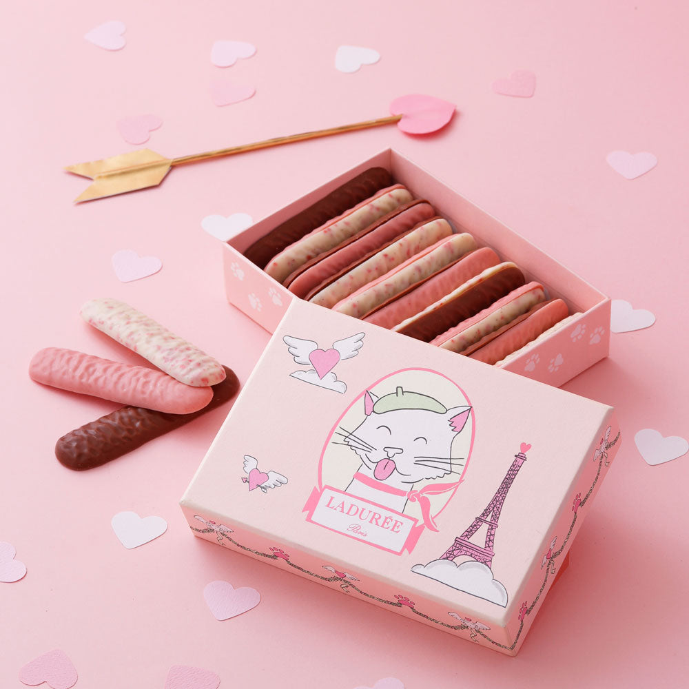 LADUREE（ラデュレ）シャ・オ・ベレー – AOYAMA GIFT SALON