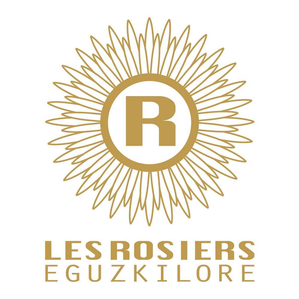 銀座京橋 レ ロジェ エギュスキロール ショコラアイスボール