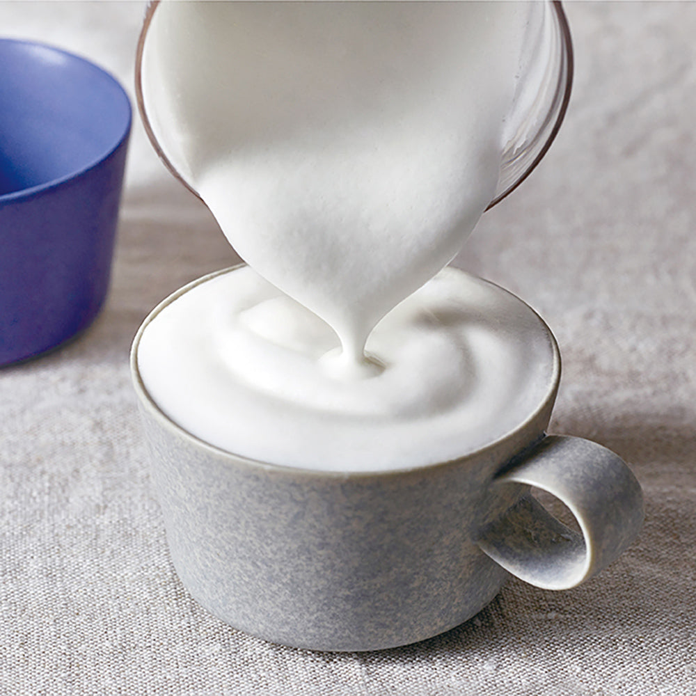 recolte(レコルト)ミルクティーメーカー クリームホワイト