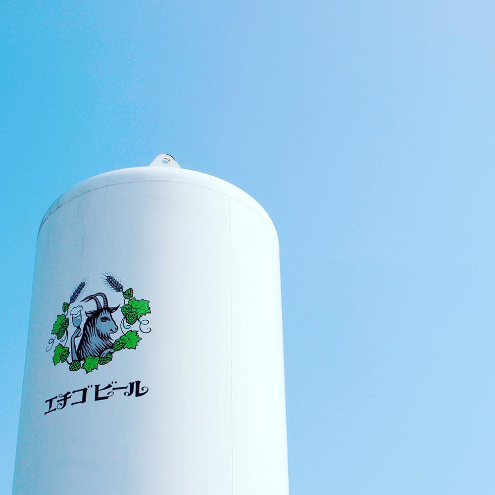 新潟クラフトビール エチゴビール エレガントブロンド 缶350ml(24本)