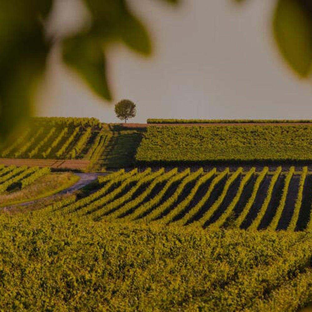 Hennessy(ヘネシー) X.O 700ml箱付 1本