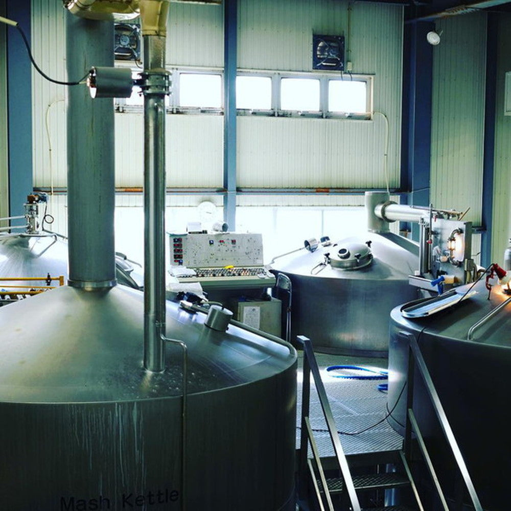 新潟クラフトビール エチゴビール のんびりふんわり白ビール 3本セット(缶350ml)