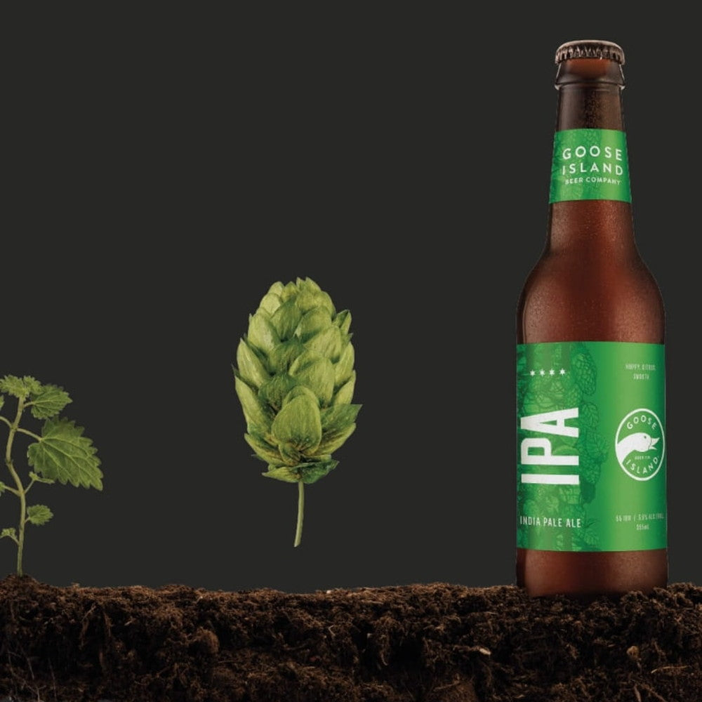 アメリカNo1IPA グースアイランド IPA 2本セット(瓶355ml)