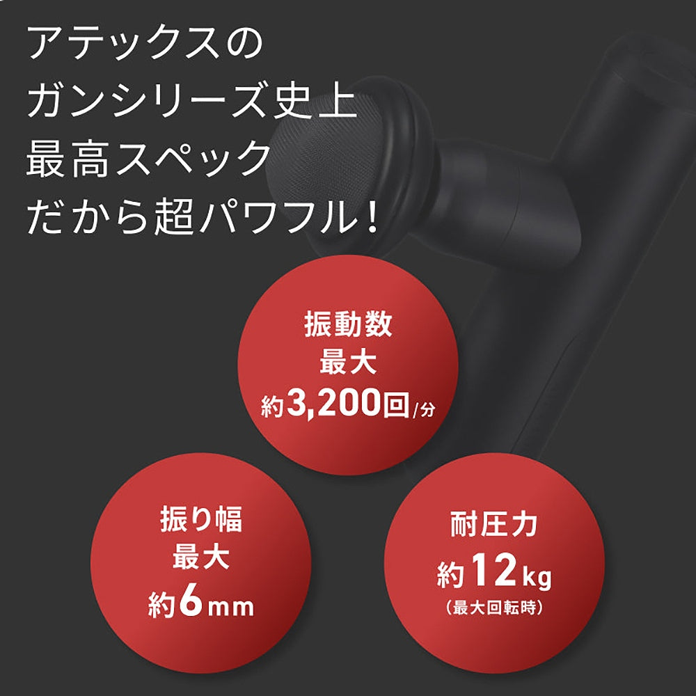 アテックスルルド ルルドガン(レッド)