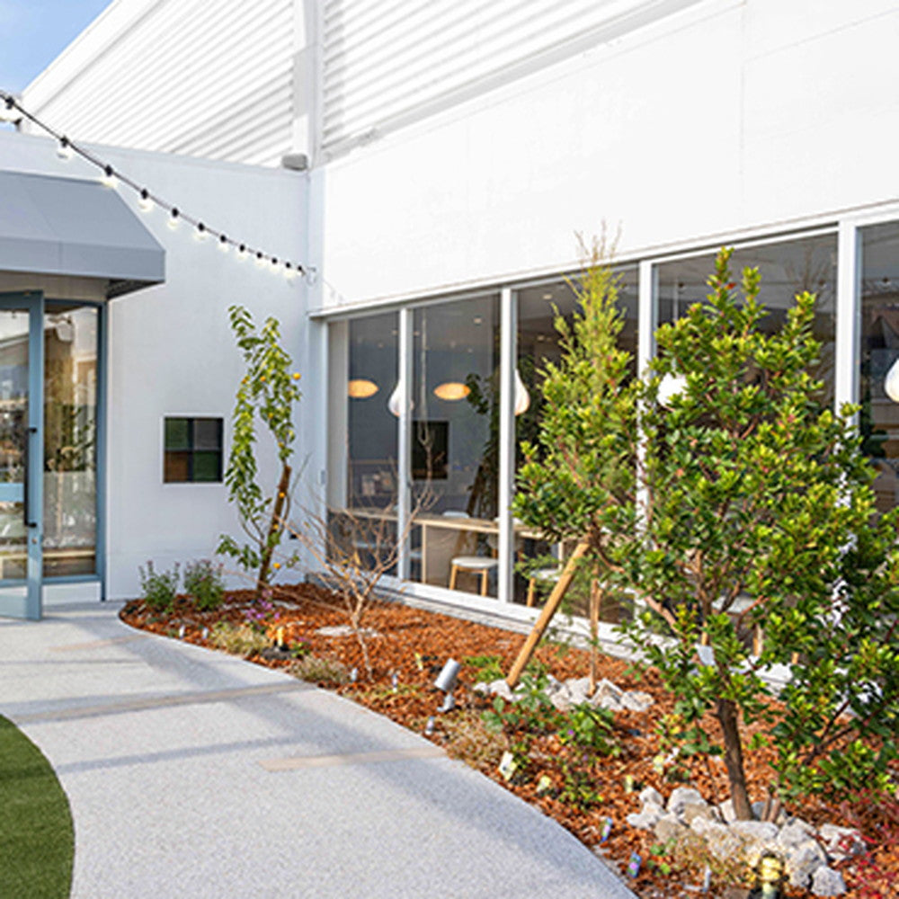 ホシフルーツ 贅沢フルーツのタルト – AOYAMA GIFT SALON