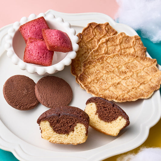 チョコトリップ　魅惑のスイーツ詰合せ　太陽のサーカス