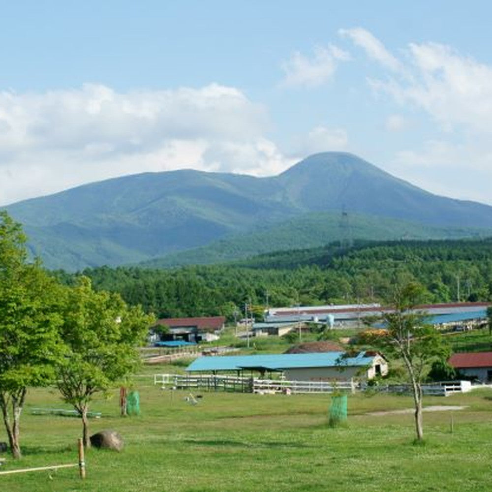 長門牧場「カルピス(株)バター」アイスクリーム　ミルク＆バター７個