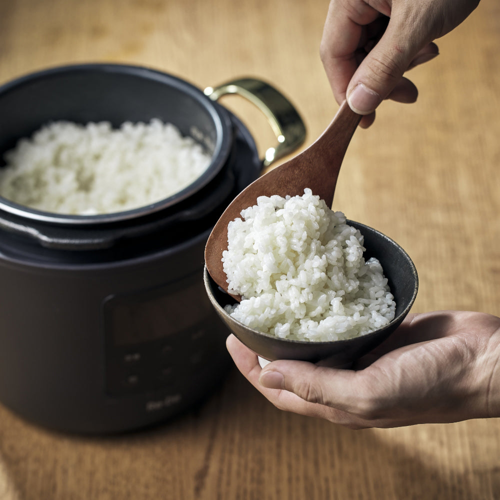 Re･De Pot 電気圧力鍋 2L ブラック