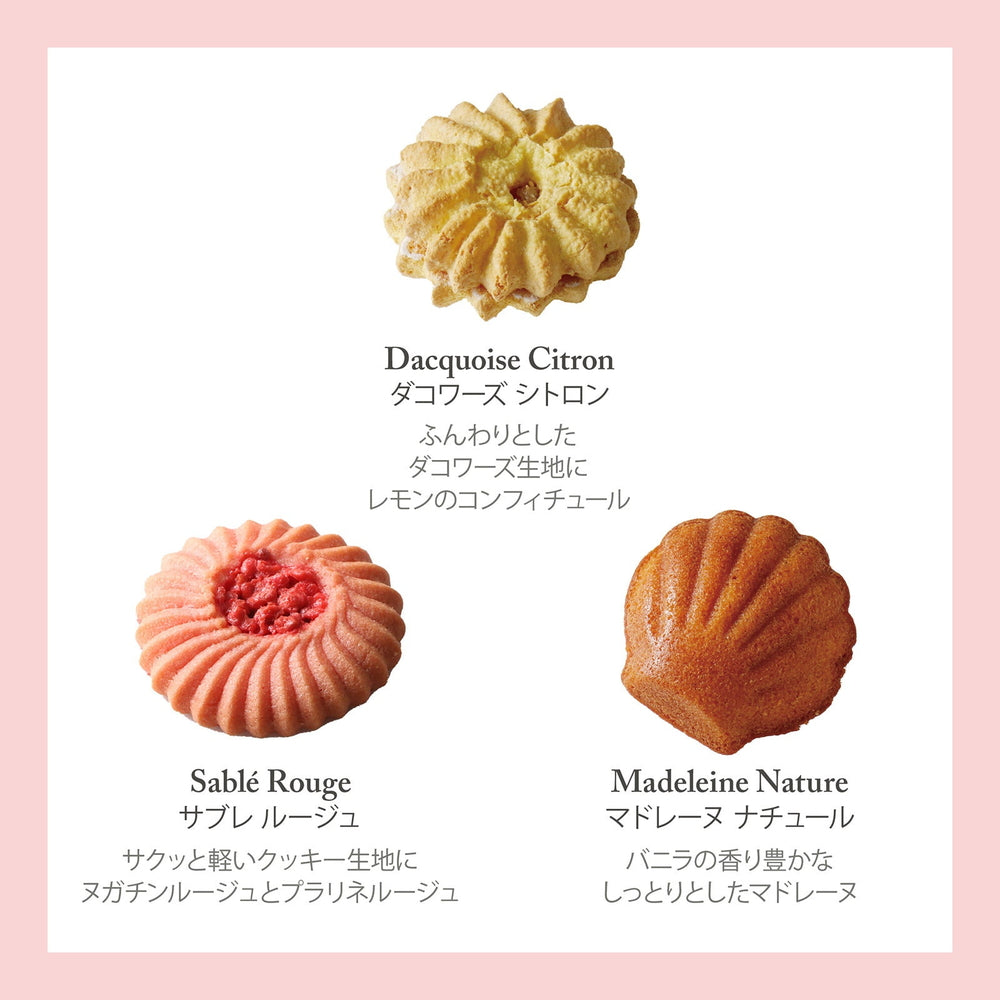 セバスチャン・ブイエ アソートバリエ M