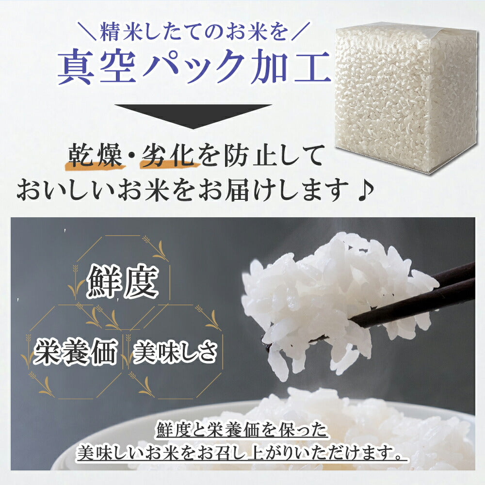 五つ星マイスター厳選・新潟こしひかり・天然塩味わいギフトセット（12合・天然塩セット）