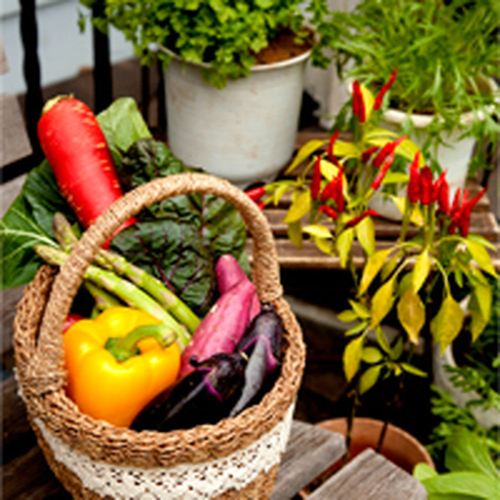 ベジターレ　国産ノンアルコールロゼスパークリング 720ml(フルボトル)