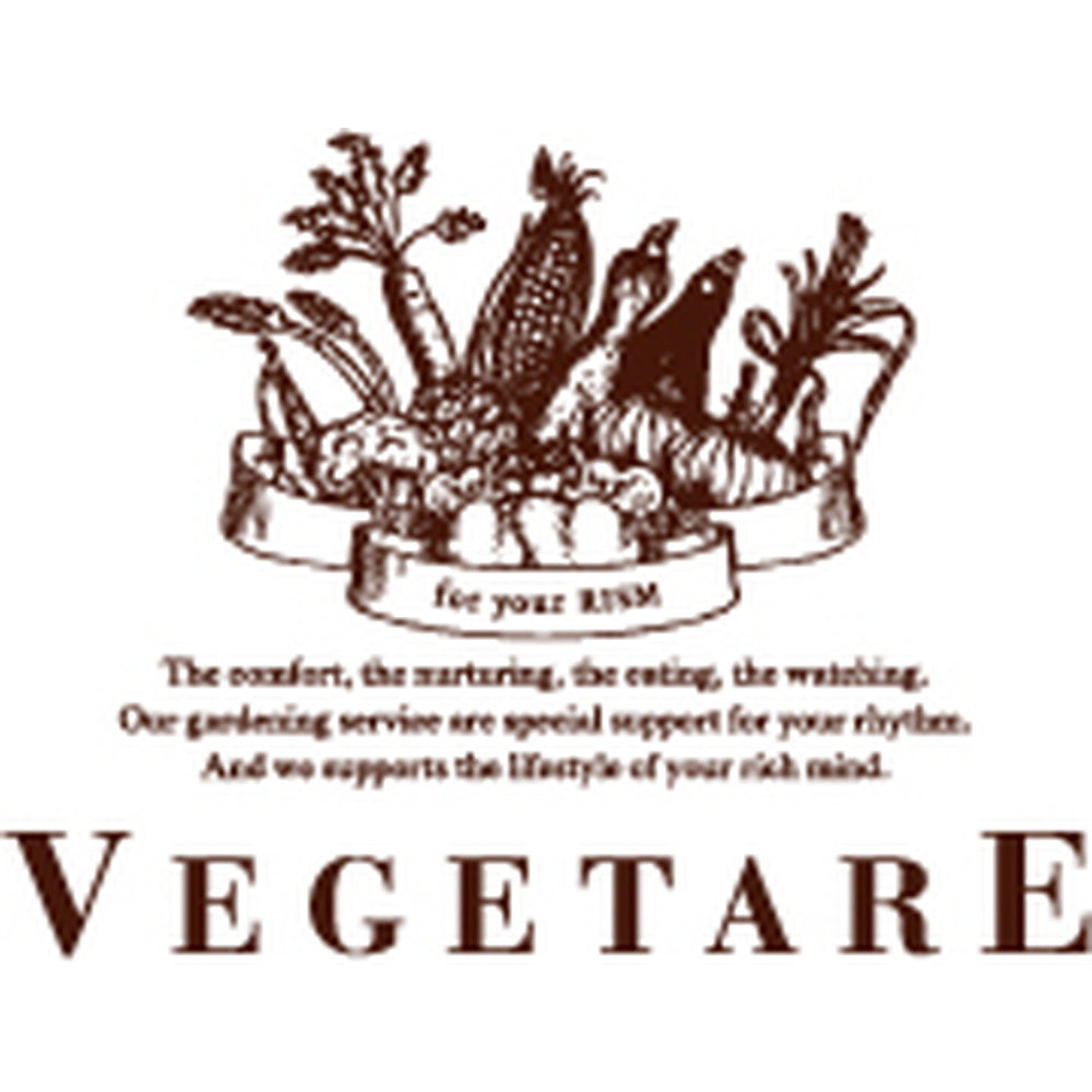 ベジターレ　国産ノンアルコールロゼスパークリング 720ml(フルボトル)