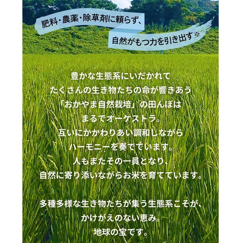 木村式自然栽培米「朝日」精米10kg(5kg×2袋）