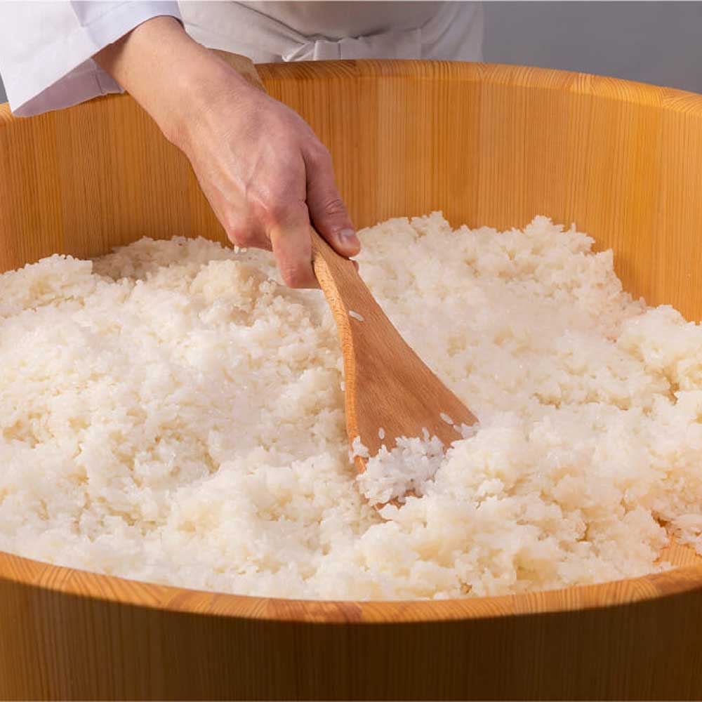 木村式自然栽培米「朝日」精米10kg(5kg×2袋）
