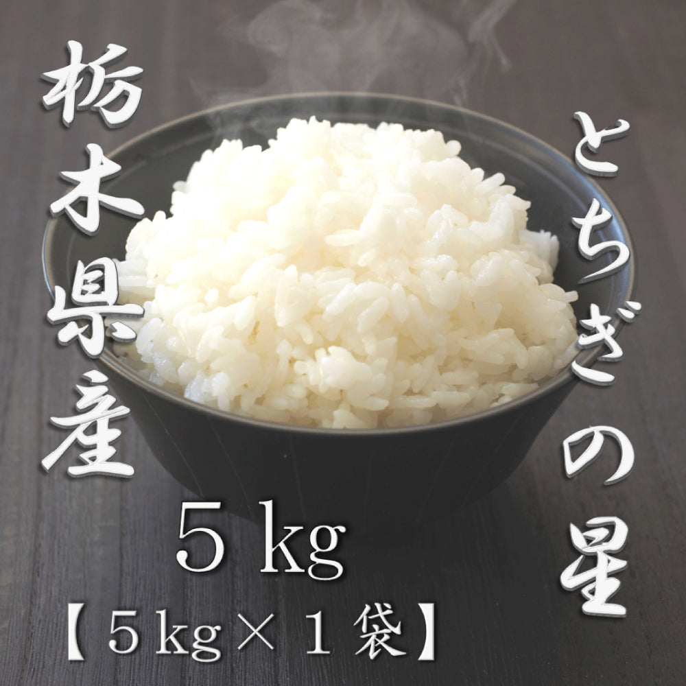 栃木県産 単一原料米 とちぎの星 5kg×2袋 HACCP認定工場製品 栃木県産 単一原料米 とちぎの星 5kg×2袋HACCP認証 （令和6年