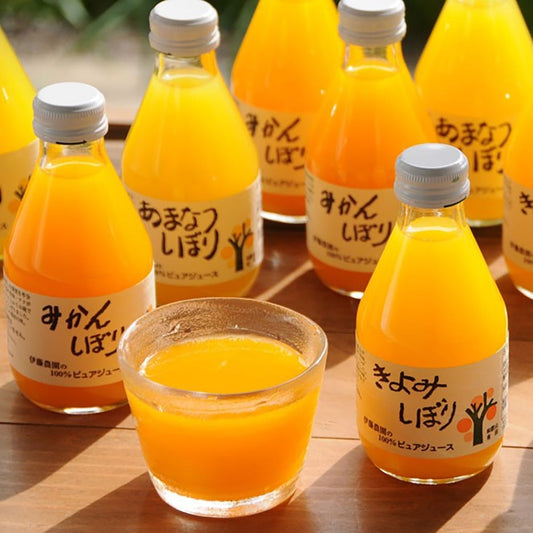 和歌山 伊藤農園 5種の柑橘ジュース
