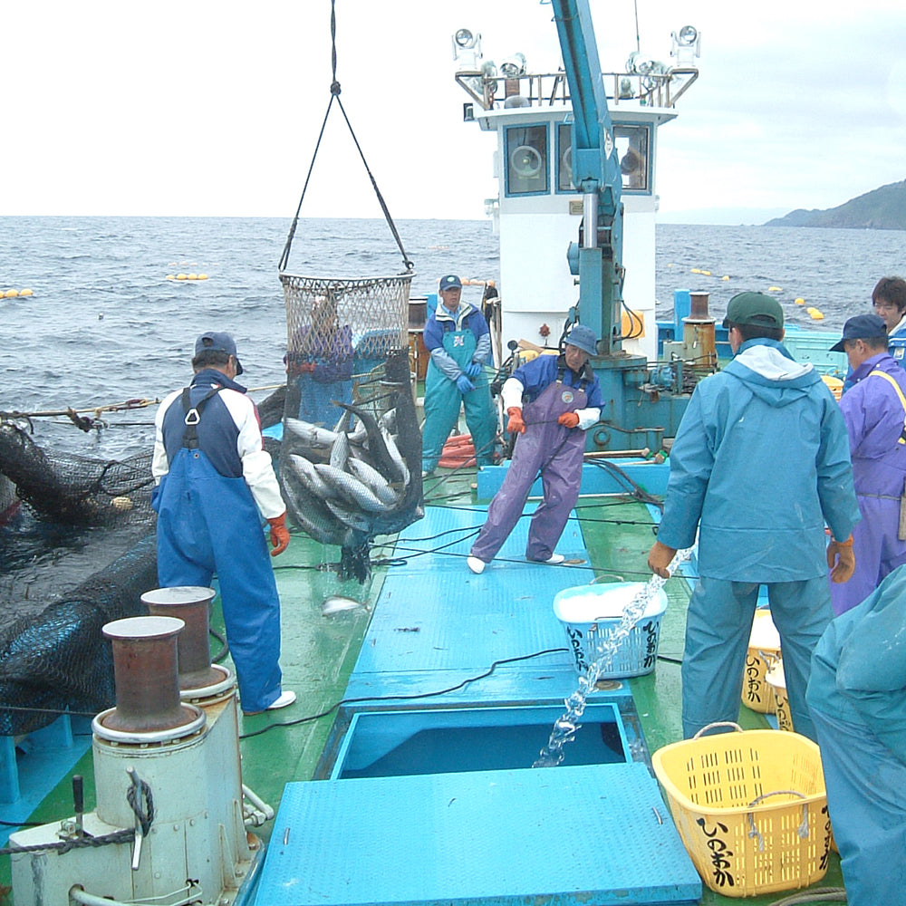 「金澤北珍肴の匠」のどぐろ鮮魚干しセット(真空1尾 x 2)