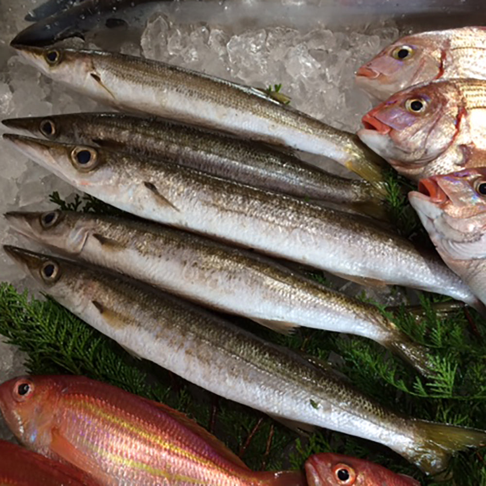 出水田鮮魚 干物セットA