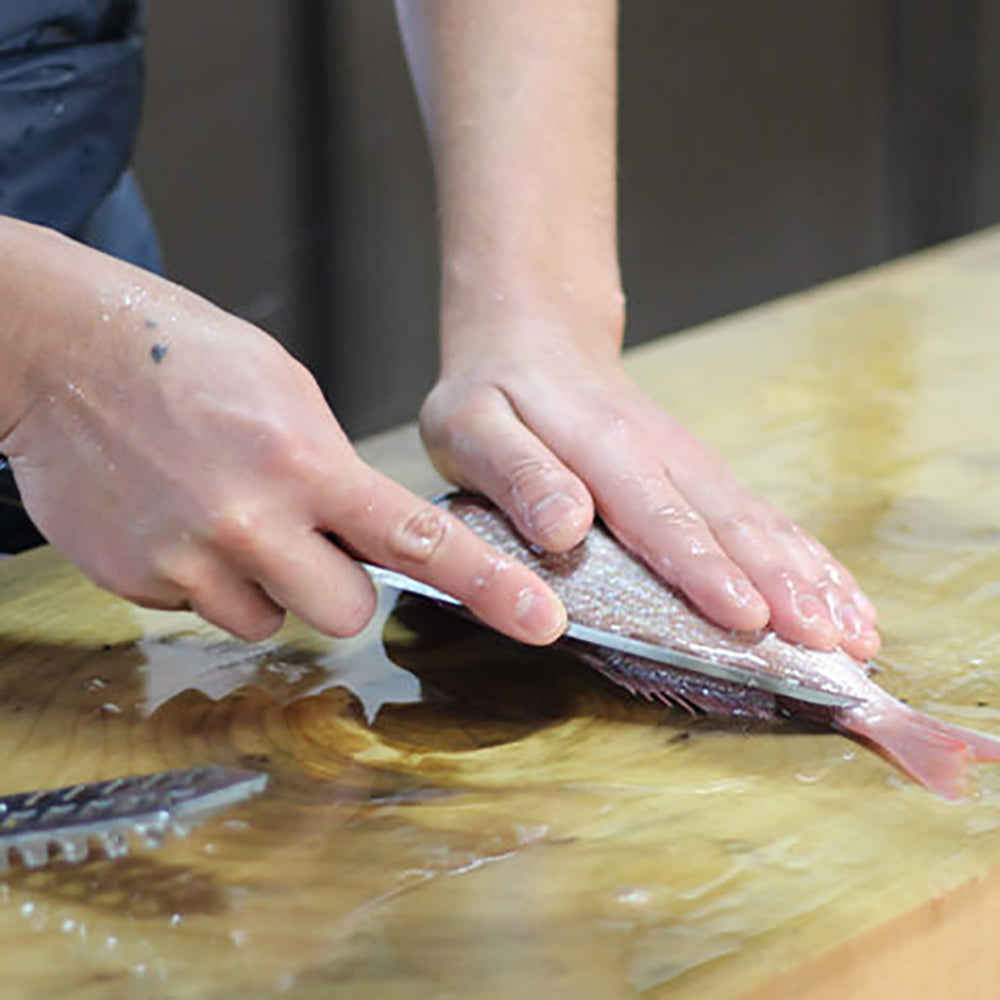 出水田鮮魚 干物セットA